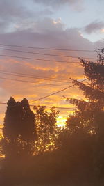 Low angle view of silhouette trees against sky