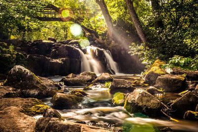 River flowing through rocks