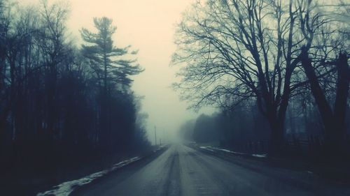 Empty road amidst bare trees during winter