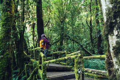 Rear view of woman on footbridge in forest