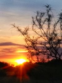 Silhouette trees against sky during sunset