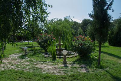 View of plants in park