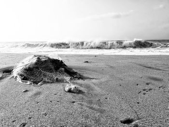 Driftwood on beach against sky