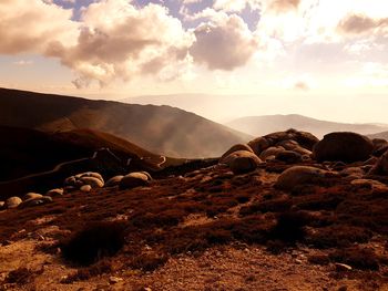 Scenic view of landscape against sky