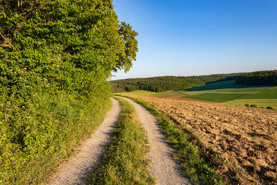 Dirt road amidst agricultural field against sky for copy space.