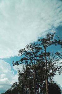 Low angle view of trees against sky