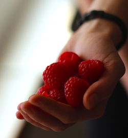 Close-up of cropped hand holding ice cream