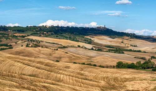 Scenic view of agricultural field against sky