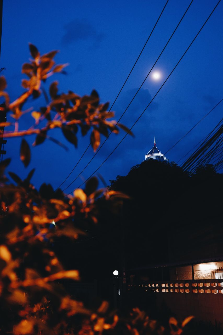 LOW ANGLE VIEW OF ILLUMINATED TREE AGAINST SKY AT NIGHT