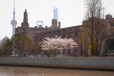 Buildings in city