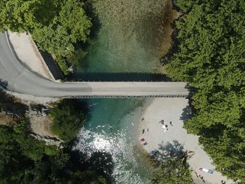 High angle view of river amidst trees