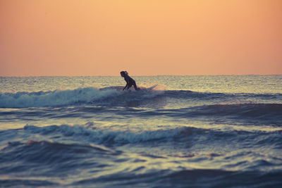 Silhouette man surfing in sea against sky during sunset