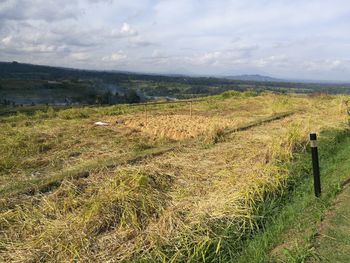 Scenic view of field against sky