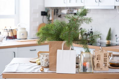 Close-up of potted plant on table