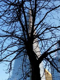 Low angle view of silhouette bare tree against sky