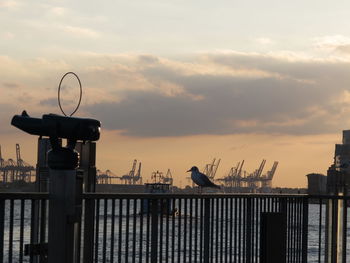 Cranes on railing by sea against sky during sunset