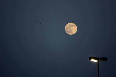 Low angle view of moon in sky