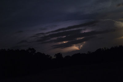 Silhouette trees against sky at night