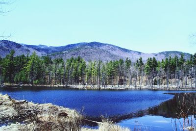 Scenic view of lake against clear sky