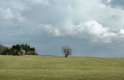 Scenic view of field against sky