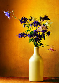 Close-up of flowers in vase