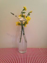 Close-up of vase on white wall