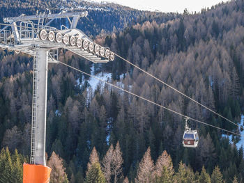 Overhead cable car in forest