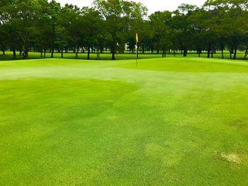 View of golf course