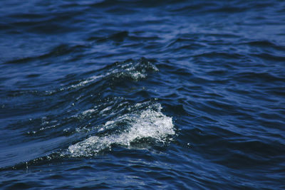 High angle view of rippled sea