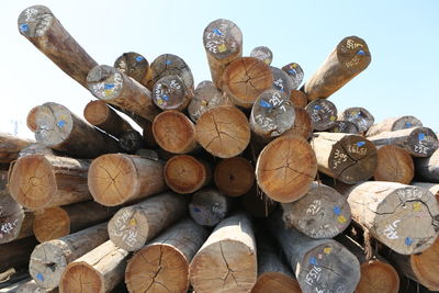 Stack of logs