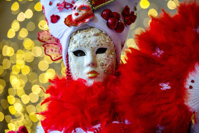 Portrait of person wearing costume during carnival