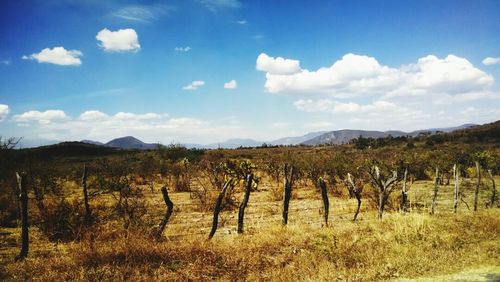 Scenic view of field against cloudy sky