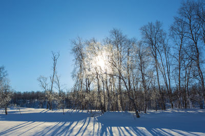 Bare trees on snow covered field against sky