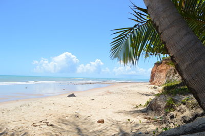 Scenic view of beach against cloudy sky