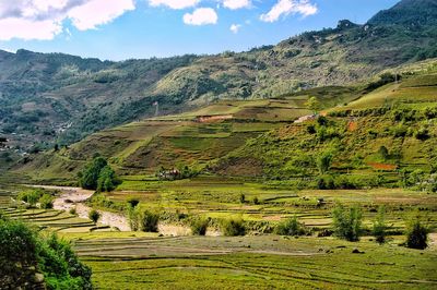 Scenic view of landscape against sky