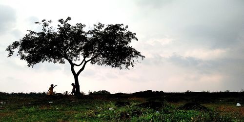 Silhouette tree on field against sky