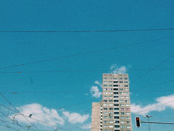 Close-up of tree against blue sky