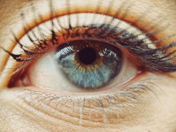 Extreme close-up of human eye