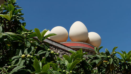 Low angle view of plants against clear blue sky