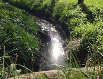 Scenic view of waterfall