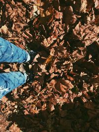 Low section of woman standing on autumn leaves