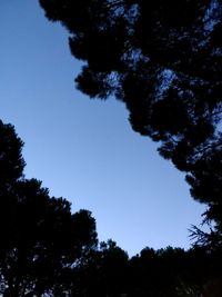 Low angle view of silhouette trees against clear blue sky