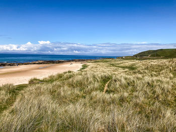 Scenic view of beach against blue sky