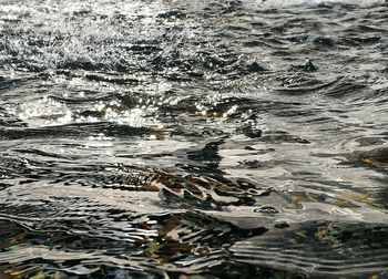 Full frame shot of rippled water