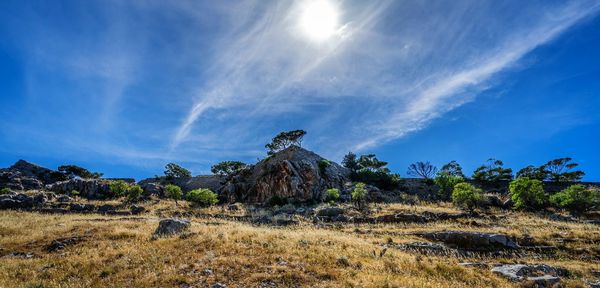 Panoramic view of landscape against blue sky