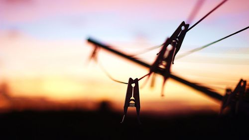 Close-up of silhouette plant against sky during sunset