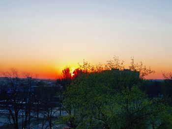 Silhouette plants against sky during sunset