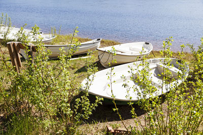 Boats moored in sea