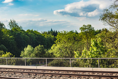 Footbridge over trees against sky