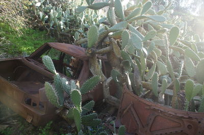 View of old ruin on field